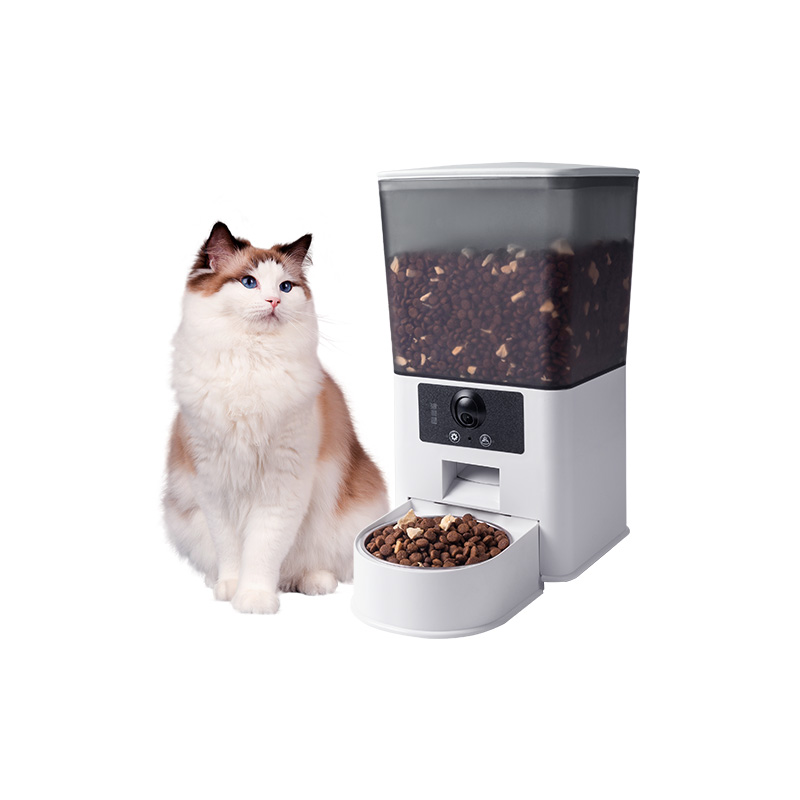 1738979061738515.jpg 2.jpg